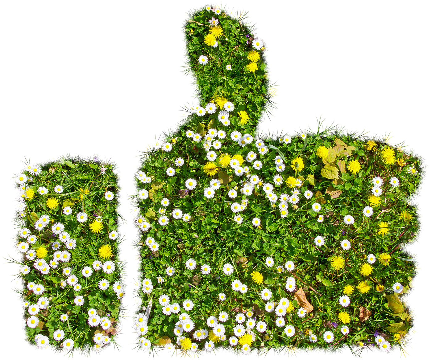 Grüner Daumen - Grünwerk Gartenpflege